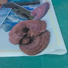 丝娟布签名布喷画